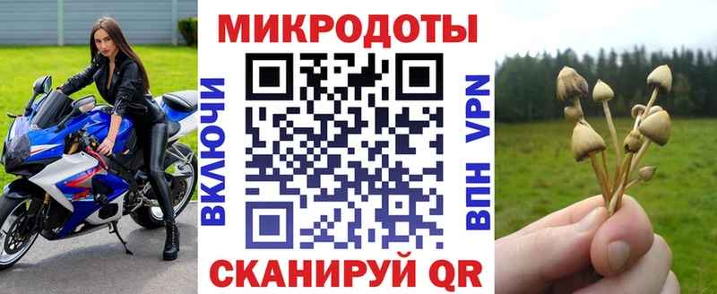 Псилоцибиновые грибы прущие грибы  KRAKEN маркетплейс  Раменское 
